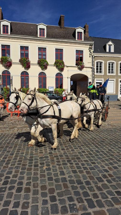 Gite La Grange 8Personnes Au Sein D'Un Elevage De Chevaux Brucquedal Exterior photo